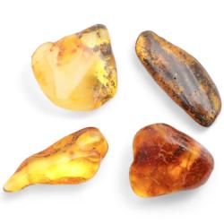 Lot pierres roulées ambre naturel de la mer Baltique (5g)