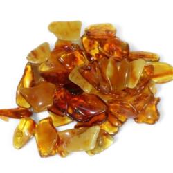 Lot pierres roules ambre naturel de la mer Baltique (5g)